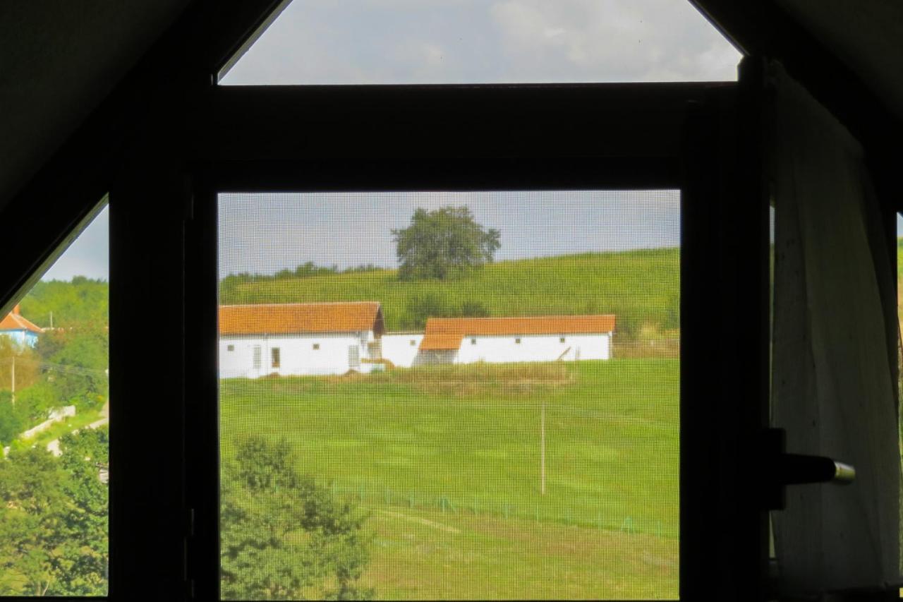 منزل الضيف ديسبوتوفاتس  في Eco Farm Milanovic المظهر الخارجي الصورة